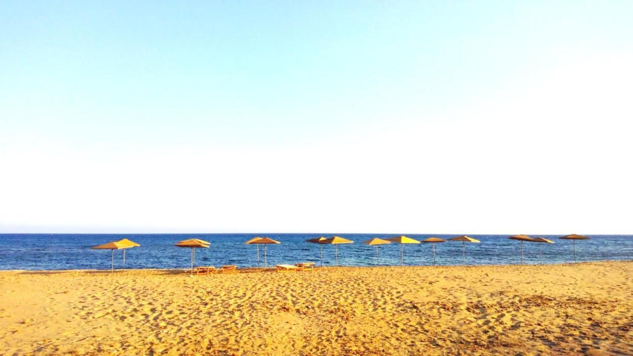Terre Di Mare Near The Sandy Beach With Pool, Parking & Wifi Фонтане-Б'янке Екстер'єр фото